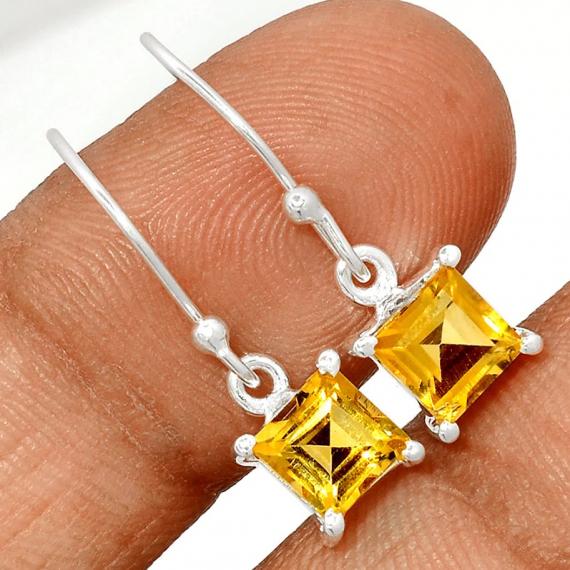 Boucles CITE 1705